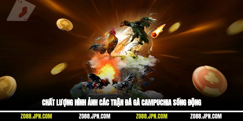 Chất lượng hình ảnh các trận đá gà campuchia sống động
