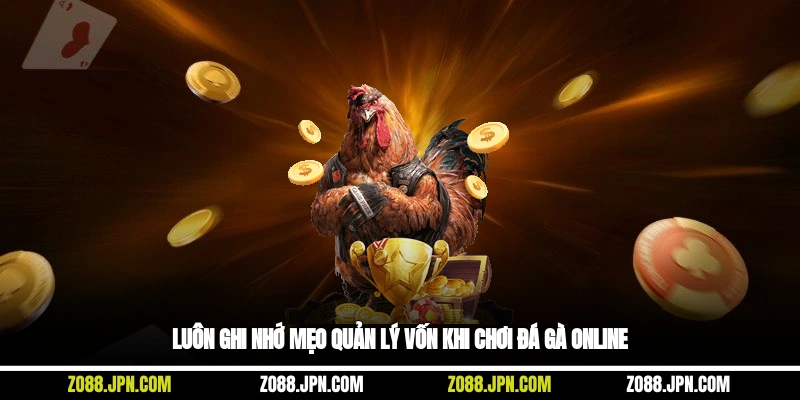 Luôn ghi nhớ mẹo quản lý vốn khi chơi đá gà online