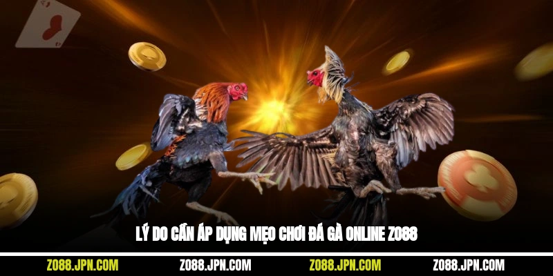 Lý do cần áp dụng mẹo chơi đá gà online Zo88