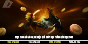 Mẹo Chơi Đá Gà Online Hiệu Quả Giúp Bạn Thắng Lớn Tại Zo88