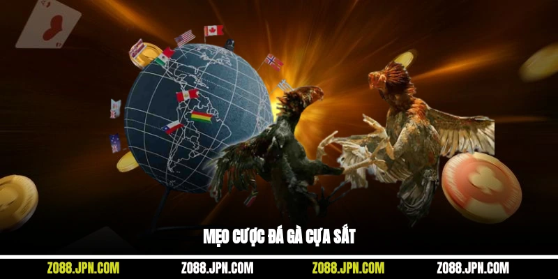 Mẹo cược đá gà cựa sắt