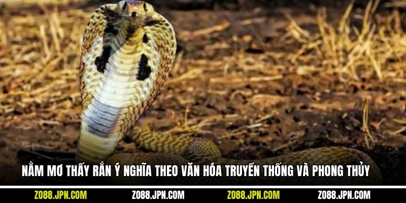 Nằm mơ thấy rắn ý nghĩa theo văn hóa truyền thống và phong thủy