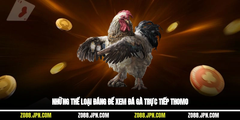 Những thể loại đáng để xem đá gà trực tiếp Thomo