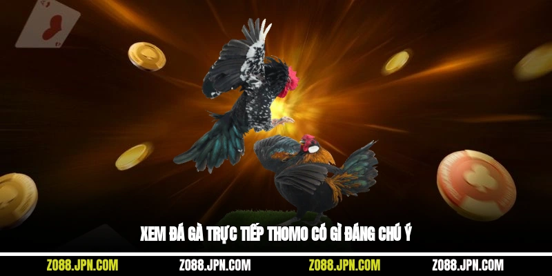 Xem đá gà trực tiếp Thomo có gì đáng chú ý