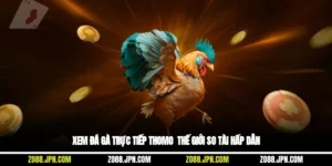 Xem Đá Gà Trực Tiếp Thomo - Thế Giới So Tài Hấp Dẫn